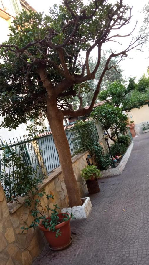 Casa Diana Roma Exterior foto
